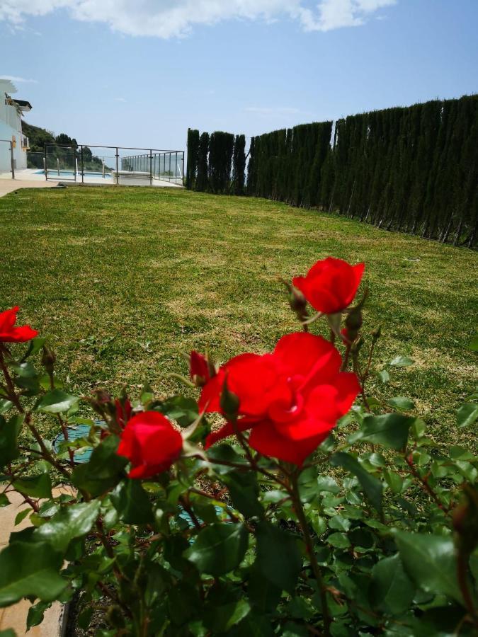 Dana I Eurogolf, Vistas, Wifi, Piscina Y Parking Apartamento Benalmádena Exterior foto